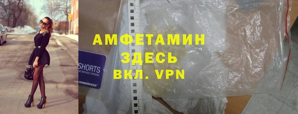 амф Горняк