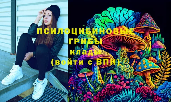 амф Горняк