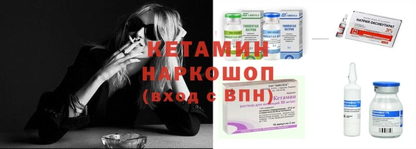 прущие грибы Усолье-Сибирское