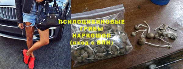 метадон Горнозаводск