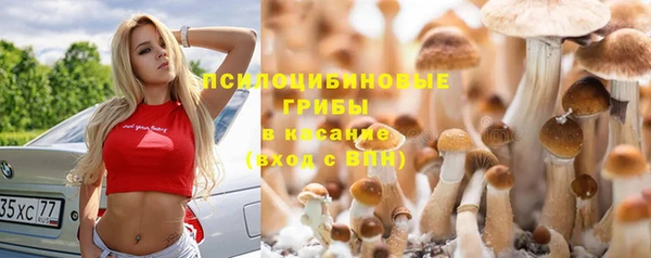 метадон Горнозаводск