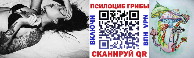 Галлюциногенные грибы Psilocybe купить закладку Кудымкар
