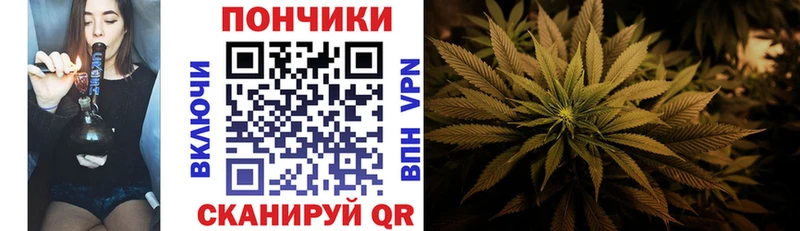 Бошки марихуана гибрид  Кудымкар 